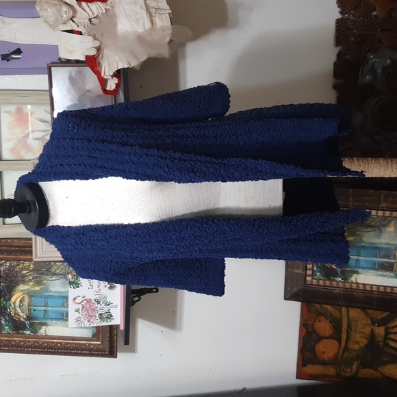 Womens Blue Knit Sweater open front Size Large BCBG MAXAZRIA - Picture 2 of 14